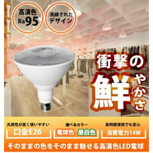LED スポットライト 高演色 Ra95 ビー...の詳細画像1
