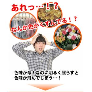 LED スポットライト 高演色 Ra95 ビー...の詳細画像2