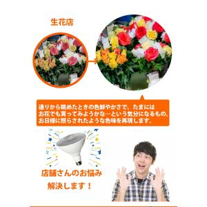 LED スポットライト 高演色 Ra95 ビー...の詳細画像5