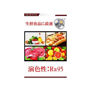 高演色Ra95 LED スポットライト E11...の詳細画像3
