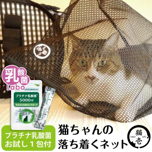猫 ねこ 猫壱 防災 ネット 袋 病院 爪切り 災害 乳酸菌 サプリ プラチナ乳酸菌 腸活 免疫調整...