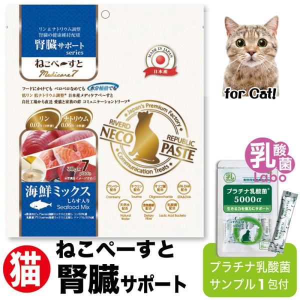 猫 腎臓 フード 無添加 ウエット おやつ 国産 高齢 ねこぺーすと 乳酸菌 サプリ 低リン 低ナト...