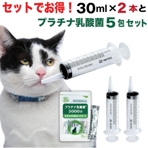 犬 猫 シリンジ 投薬 介護 給餌 送料無料 薬 流動食 針なし 横口 スポイトお水 薬を与える 二...