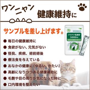 シリンジ ペット 30ml ×5本 犬 猫 高...の詳細画像3