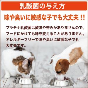 シリンジ ペット 30ml ×5本 犬 猫 高...の詳細画像4
