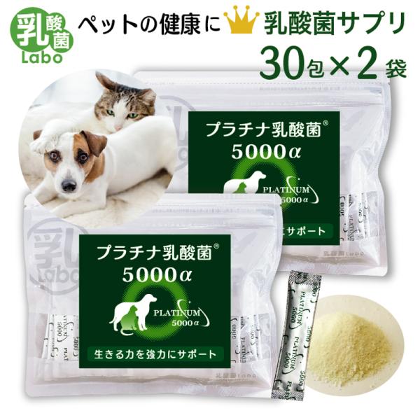 犬 猫 ペット サプリ 免疫力 乳酸菌 国産 便秘 整腸 健康食品 無添加 アレルギーフリー プラチ...