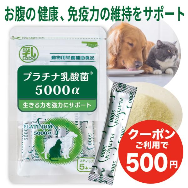 犬 猫 乳酸菌 ペットサプリ お試し 動物用サプリメント 免疫力 国産 便秘 整腸 健康食品 無添加...