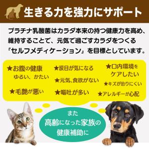 犬 猫 乳酸菌 ペット サプリ わん にゃん ...の詳細画像3