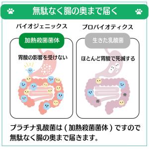 犬 猫 乳酸菌 ペット サプリ わん にゃん ...の詳細画像4