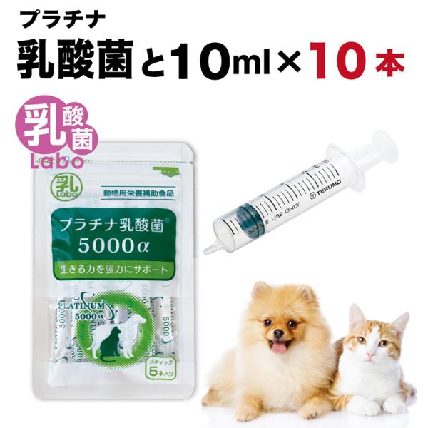 シリンジ ペット 10ml ×10本 プラチナ乳酸菌 5包 送料無料 犬 猫 高齢 老犬 老猫 介護...