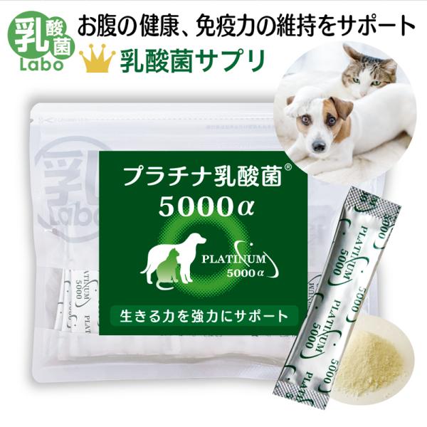 犬 猫 サプリ 免疫力 乳酸菌 国産 便秘 整腸 無添加 アレルギーフリー プラチナ乳酸菌5000α...