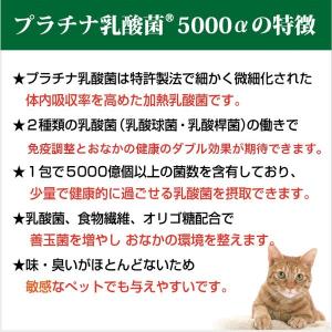 犬 猫 乳酸菌 ペット サプリ わん にゃん ...の詳細画像3