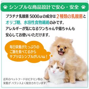 犬 猫 乳酸菌 ペット サプリ わん にゃん ...の詳細画像5