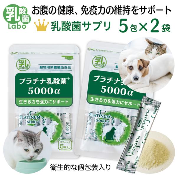 犬 猫 乳酸菌 ペットサプリ 動物用サプリメント 免疫力 国産 便秘 整腸 健康食品 無添加 アレル...