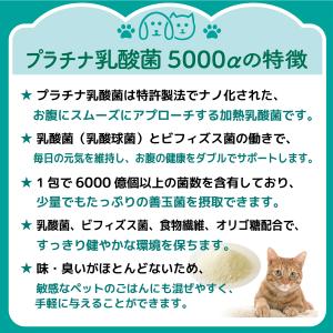 犬 猫 サプリ プラチナ乳酸菌5000α(5包...の詳細画像1