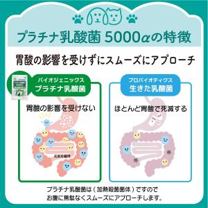 犬 猫 サプリ プラチナ乳酸菌5000α(5包...の詳細画像2
