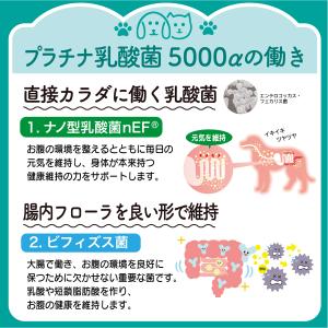 犬 猫 サプリ プラチナ乳酸菌5000α(5包...の詳細画像3