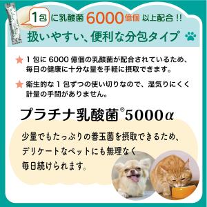 犬 猫 サプリ プラチナ乳酸菌5000α(5包...の詳細画像4