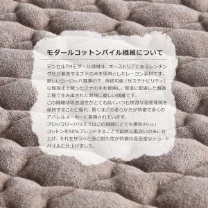 スリッパ ルームシューズ 室内 タオル地 鼻緒...の詳細画像4