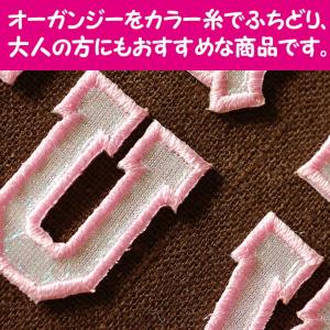 文字ワッペン アルファベット 大 スポーツ A...の詳細画像2