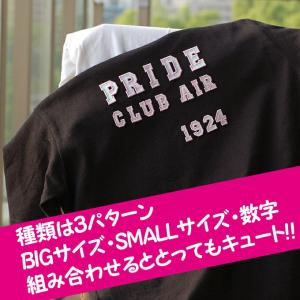 文字ワッペン アルファベット 大 スポーツ A...の詳細画像3