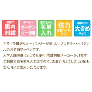 お名前ワッペン フェルト 星型 3枚組 ネーム...の詳細画像2