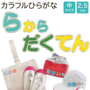 文字ワッペン ひらがな カラフル ら〜半濁点 名前 アイロン