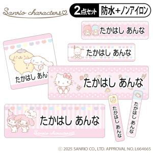 お名前シール タグ用シール サンリオキャラクターズ 2点セット 防水 耐水 食洗機 レンジ ノンアイロン 送料無料 PR