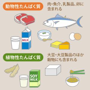 ダイエット ドリンク 健康 美容 食物せんい ...の詳細画像4