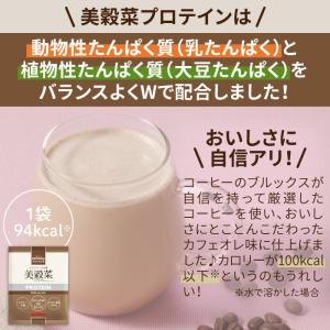 ダイエット ドリンク 健康 美容 食物せんい ...の詳細画像5