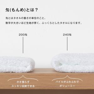 粗品タオル お年賀タオル のし名入れ のし印刷...の詳細画像4