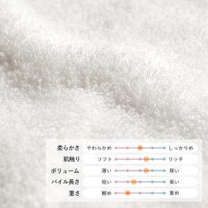 粗品タオル 今治タオル お年賀タオル のし名入...の詳細画像5