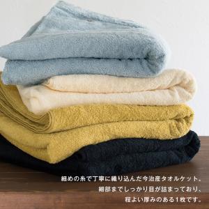 (ギフト) タオルケット+枕カバー ギフトセッ...の詳細画像2
