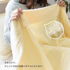 (ギフト) タオルケット+枕カバー ギフトセッ...の詳細画像3