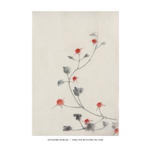 アートポスター 葛飾北斎 蔦に小さな赤い花 和...の詳細画像4