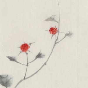 アートポスター 葛飾北斎 蔦に小さな赤い花 和...の詳細画像5
