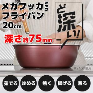 和平フレイズ IH対応 メガフッカNEO 深型フライパン 20cm RB-1744 sss