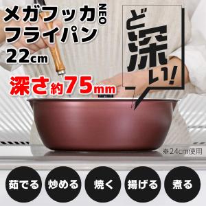 和平フレイズ IH対応 メガフッカNEO 深型フライパン 22cm RB-1745