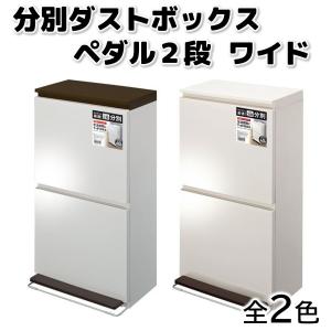アスベル 分別ダストボックス ペダル2段 ワイド 40L zzs
