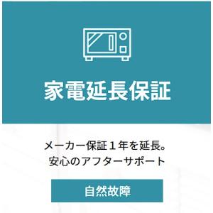 【3点セット販売+5年延長保証付】DAF11Z...の詳細画像2
