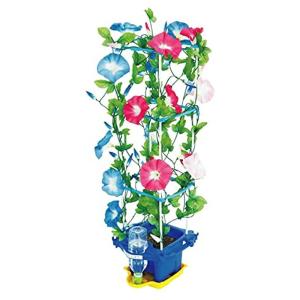 朝顔栽培セットの商品一覧 通販 Yahoo ショッピング