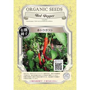 赤唐辛子 その他花 ガーデニング の商品一覧 花 ガーデニング 通販 Yahoo ショッピング