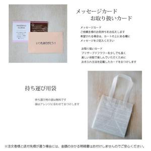 クリスマスリース プリザーブドフラワー 玄関 ...の詳細画像5
