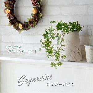 フェイクグリーン シュガーバイン 光触媒 人気 造花 インテリアグリーン 飾り お洒落 ミニシサス 観葉植物 インテリア シュガーパイン 癒し