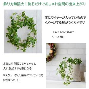 フェイクグリーン シュガーバイン 光触媒 人気...の詳細画像2