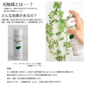 フェイクグリーン シュガーバイン 光触媒 人気...の詳細画像4
