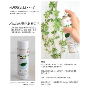リース 手作りキット アジサイ 玄関 玄関リー...の詳細画像5