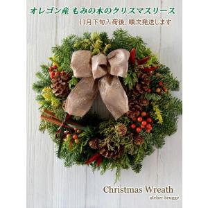 クリスマスリース 手作りキット 花 ガーデニング の商品一覧 通販 Yahoo ショッピング