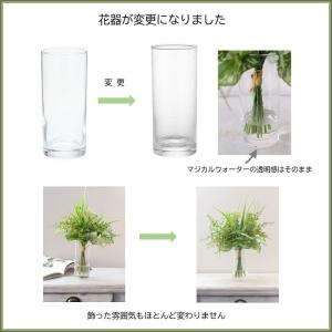 マジカルウォーター フェイクグリーン 光触媒 ...の詳細画像5