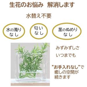 マジカルウォーターアレンジ フェイクグリーン ...の詳細画像4